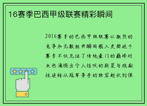 16赛季巴西甲级联赛精彩瞬间